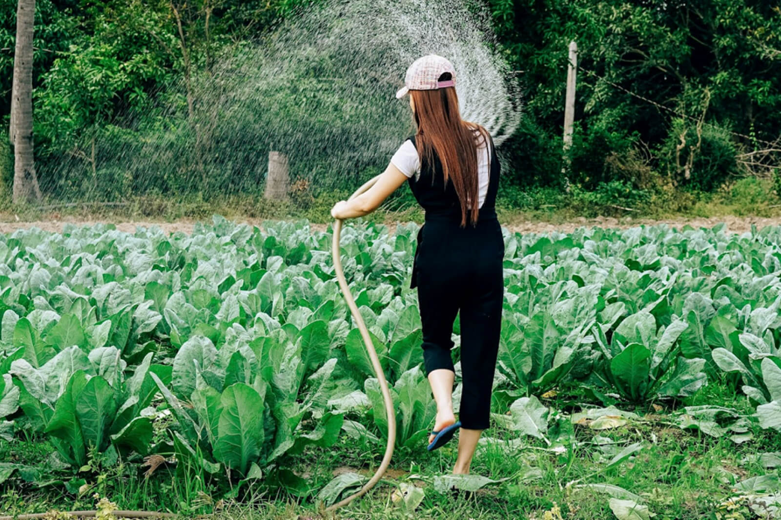 Must-Have Gear for Your Spring Garden